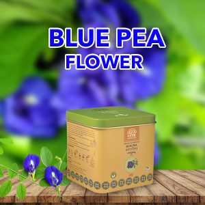 blue pea flower