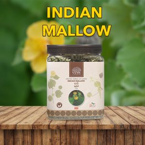 INDIAN MALLOW